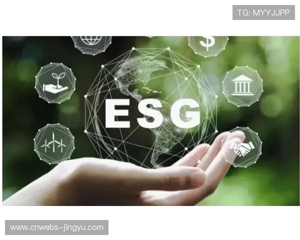 数字传播体系纳入企业ESG评价指标，凸显社会价值